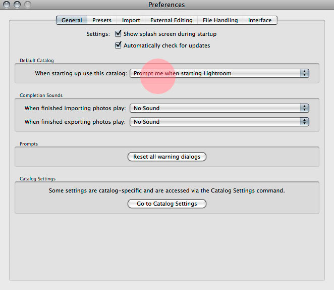 preferences1