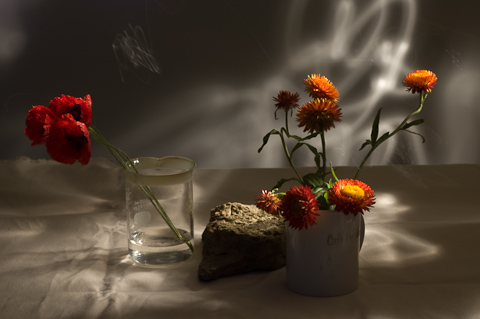 still-life