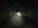 2120802-014