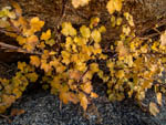 2121013-072