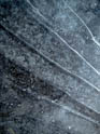 2121027-056