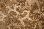 2130312-107