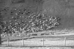 2141121-055