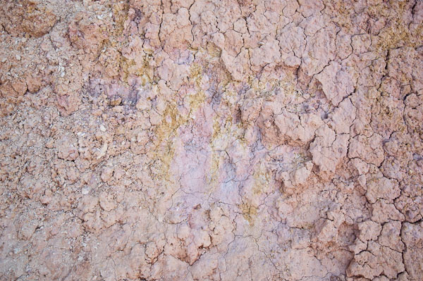Weathering, Staining - 2110513-047
