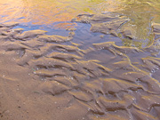 Harris Wash