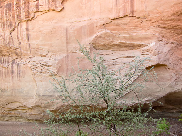 Sandstone Wall - 2110515-054