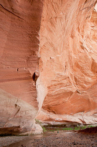 Canyon Wall - 2110516-034