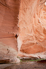 Canyon Wall