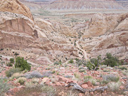 Burr Trail
