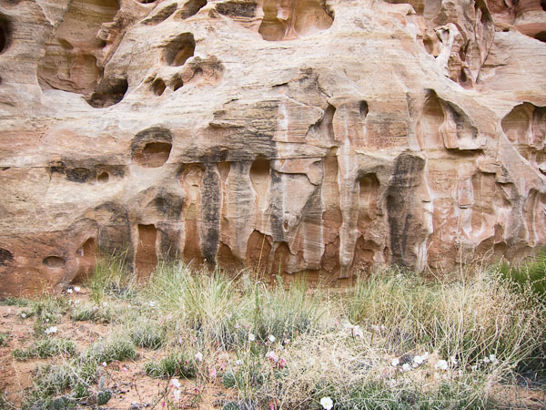 Sockets and Stains - 2110517-116