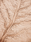 Watershed Detail