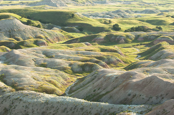 Badlands After Rain - 2110718-066