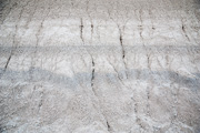 Recent Sedimentation