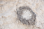 Nest, Unburied