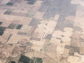 Fields, Aberdeen Idaho
