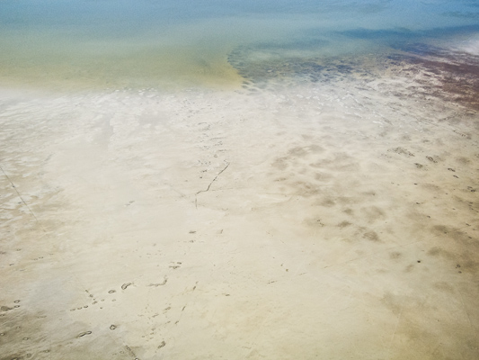 Salt Shallows - 2120408-204
