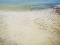 Salt Shallows
