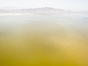 Yellow Water